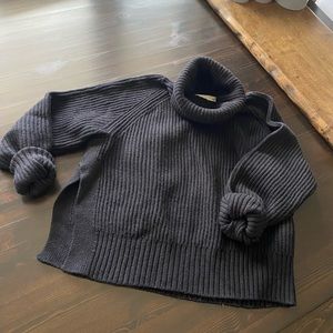 Aritzia Wilfrid Free Turtleneck